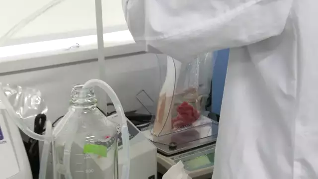 宮先生「応用微生物学実験」授業風景