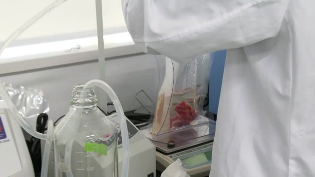宮先生「応用微生物学実験」授業風景